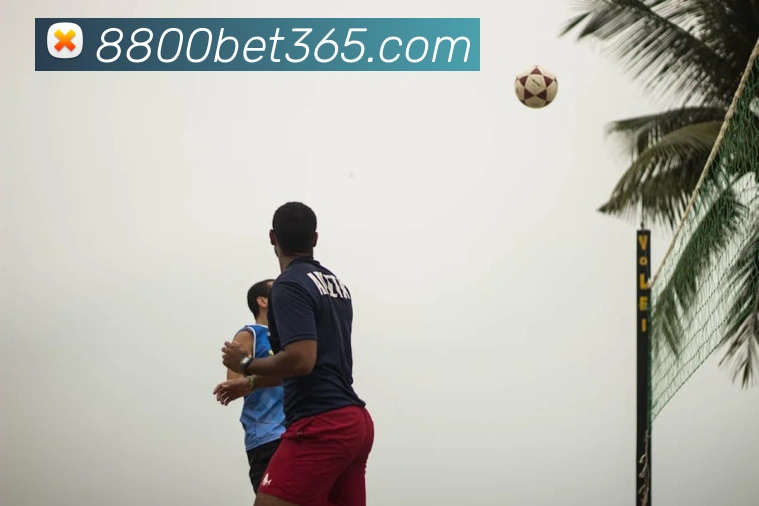 bet365平台生态图